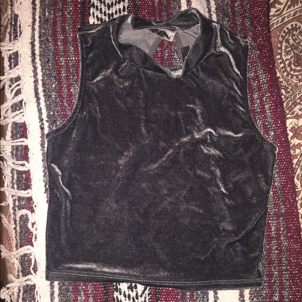 Velvet Crop Top